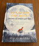 Fox Under the Moon