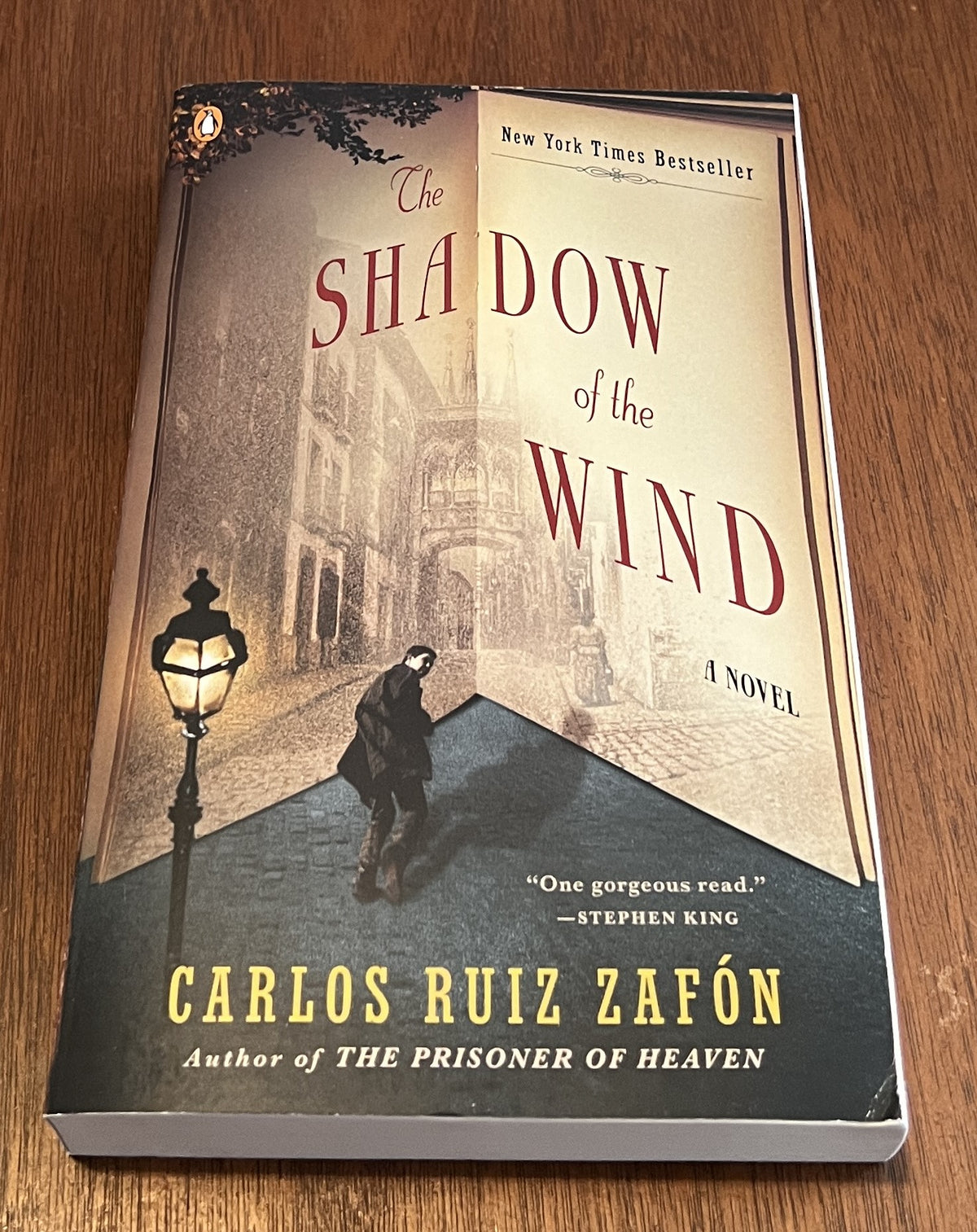 The Shadow of the Wind