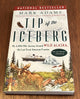 Tip of the Iceberg